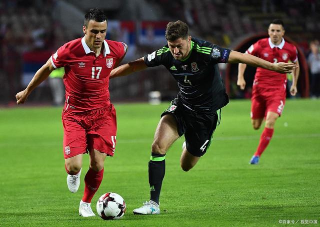  Scout关键节点出色防守，塞尔维亚队带队取胜！